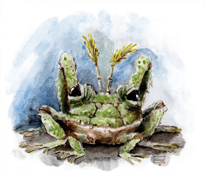 File:2022 03 28 Lume GreatToad Preview.jpg